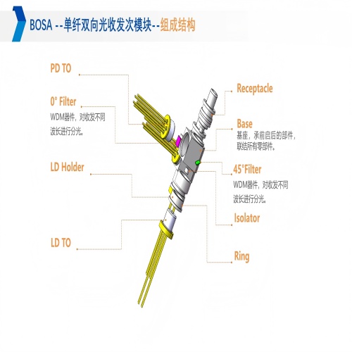 1749115304491056.jpg BOSA(1).jpg